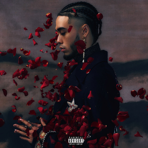 女性统治，黄片
